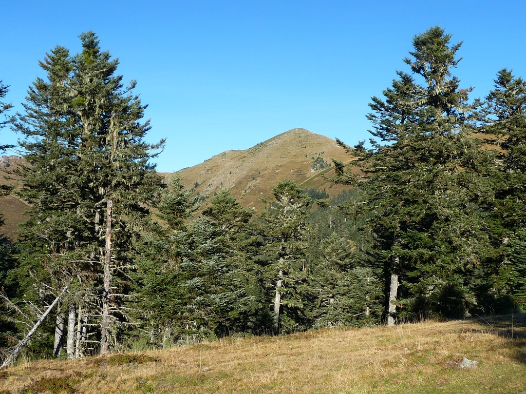 entre-sapins-on-apercoit-encore-pic-areng-horizons-bleus-depuis-le-pic-areng