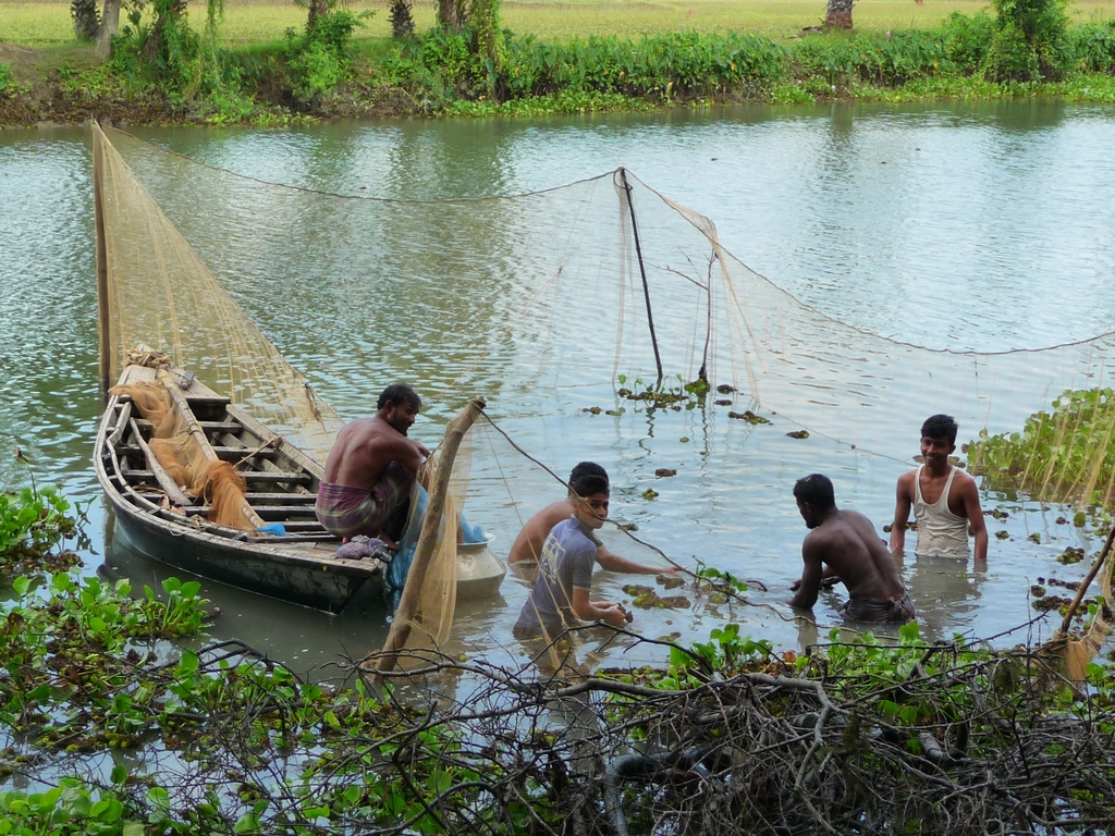 convient-retirer-tous-branchages-engloutis-auparavant-ici-dessein-servir-habitat-poissons-et-crevettes-peche-traditionnelle-au-filet