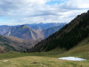 cote-barousse-vol-grues-cendrees-au-dessus-mont-aspet