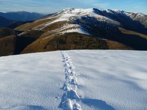 versants-sud-degarnis-mais-ailleurs-bien-neige-rechaussons-donc-les-raquettes