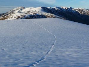 dernier-replat-avant-sommet-rechaussons-donc-les-raquettes