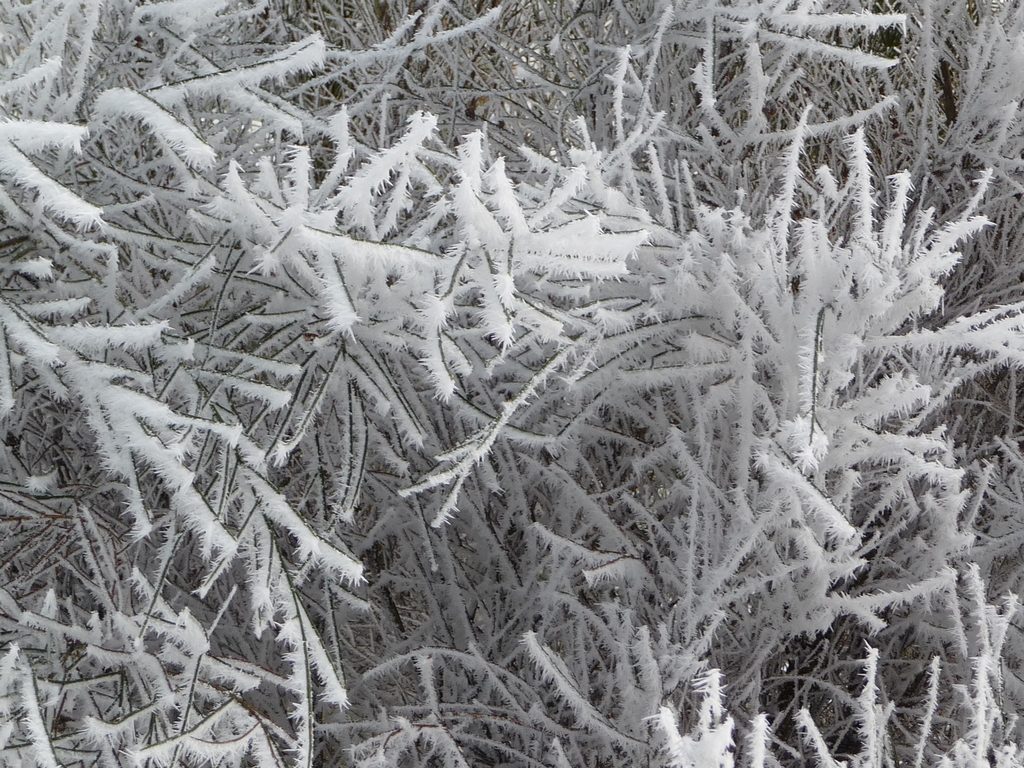 enchevetrement-glace-balade-givrante-vers-montaut