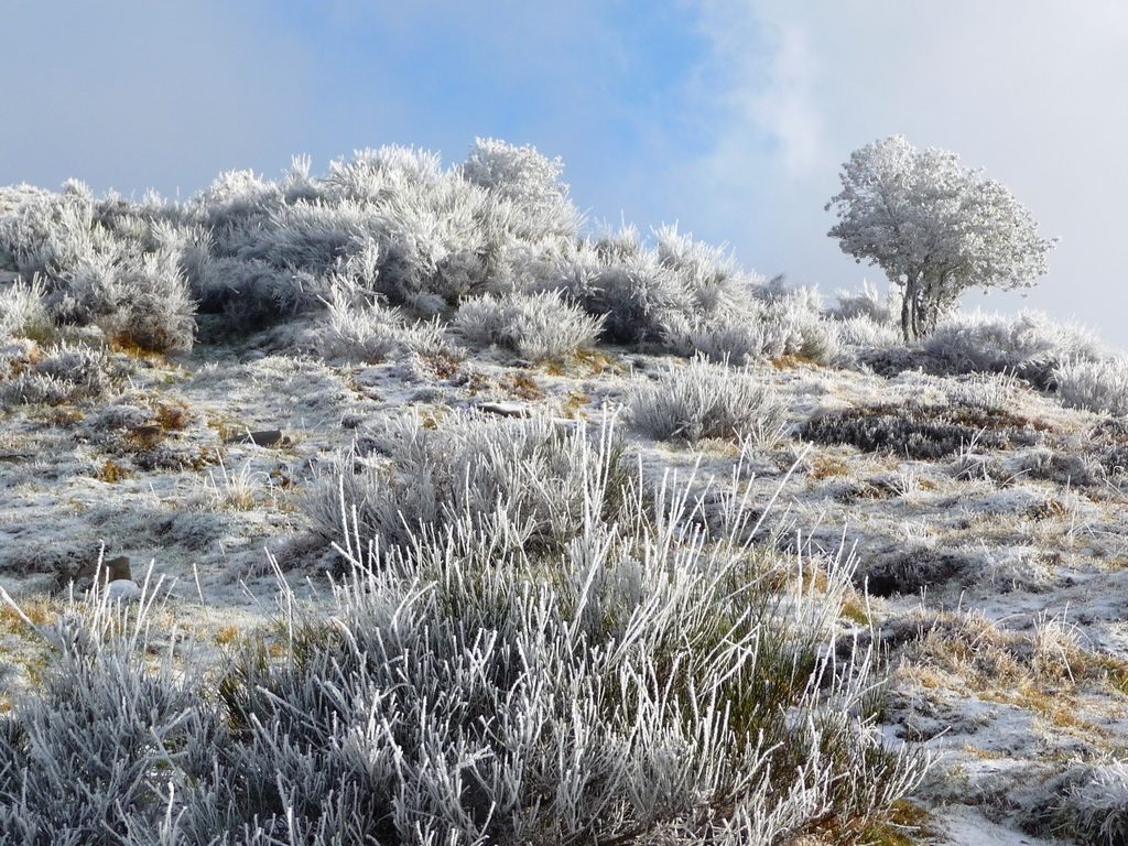 sol-recouvert-que-un-saupoudrage-neige-balade-givrante-vers-montaut