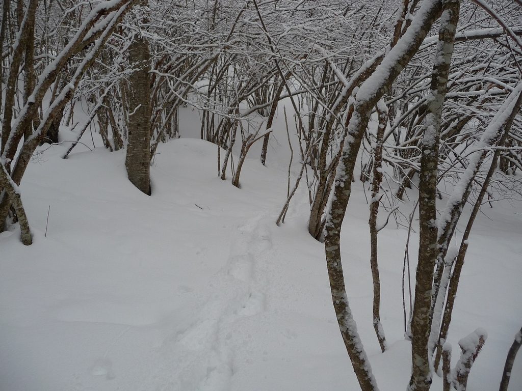 raquettes-grande-utilite-vallon-estiouere-sous-neige