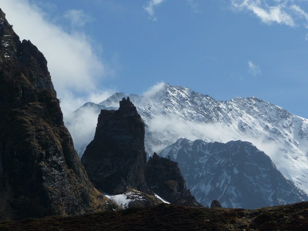 massif-batchimale-dans-val-aube