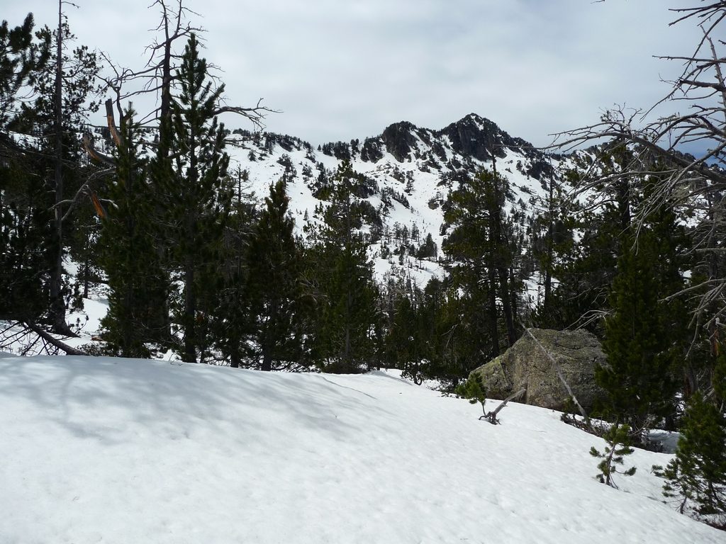 en-ce-debut-mois-mai-vallon-demeure-bien-enneige-destination-raquettes-vallon-estibere