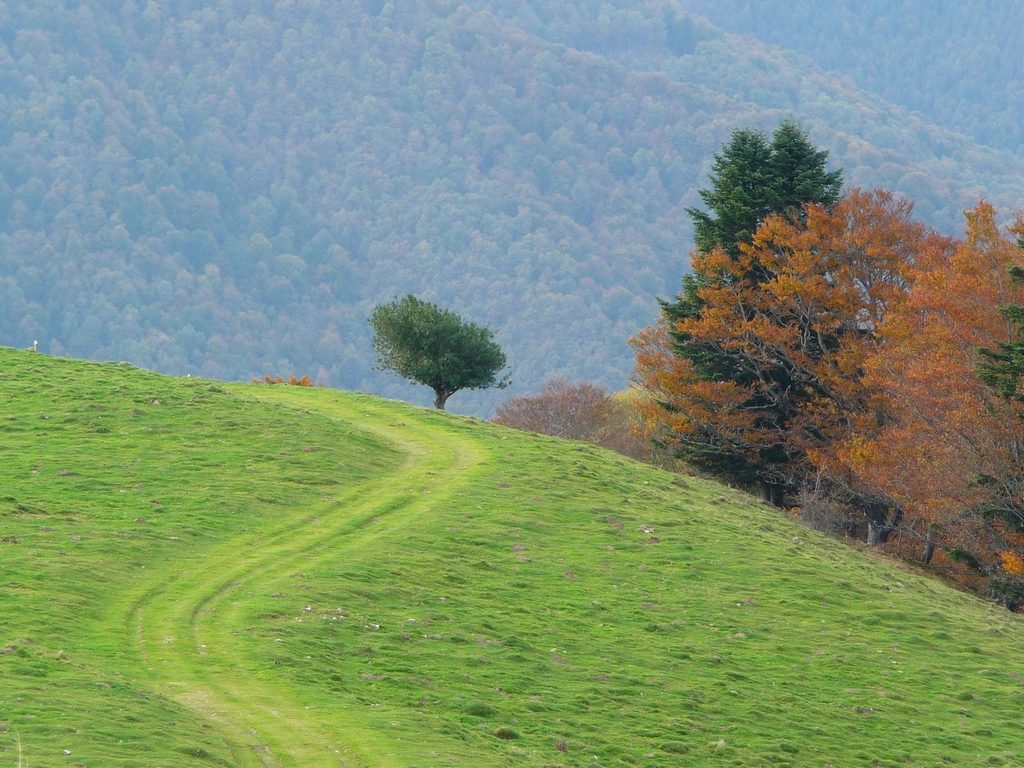 virage-automnal-entree-vallee-aure-montaut