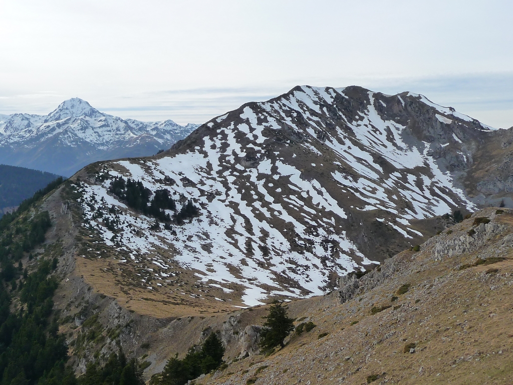 cap-castillon-au-loin-pic-midi-bigorre-sur-crete-bassia-dominicale-et-tres-peu-hivernale