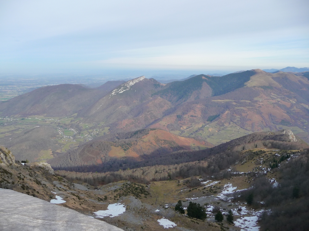 cret-calcaire-pene-haute-vu-depuis-plo-berdaoulou-sur-crete-bassia-dominicale-et-tres-peu-hivernale